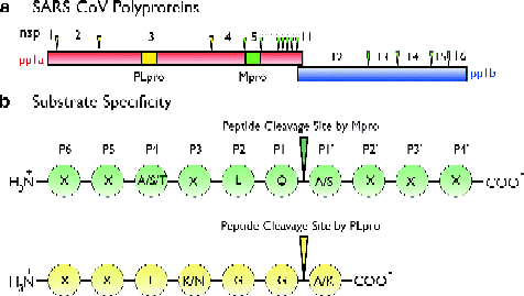 figure 1_8