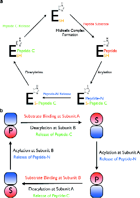 figure 4_8