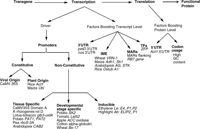 figure 1_5