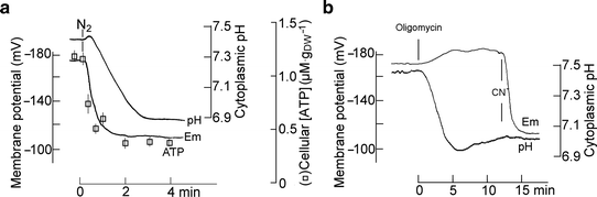 figure 4_5