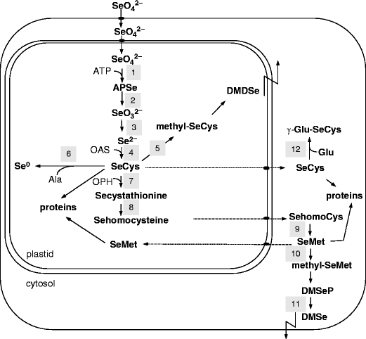 figure 1_10