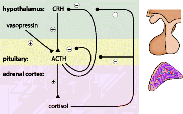 figure 001117