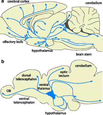 figure 001120