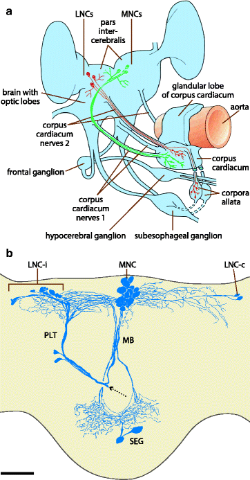 figure 00116