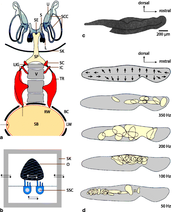 figure 001719