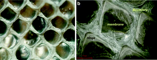 figure 5_4