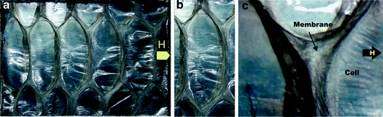 figure 6_4