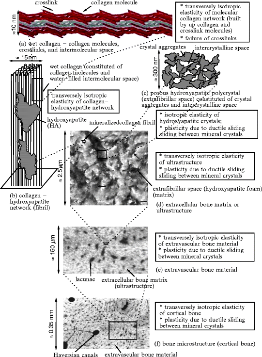 figure 2_5