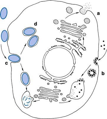 figure 2102