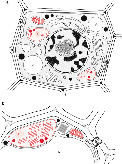 figure 27