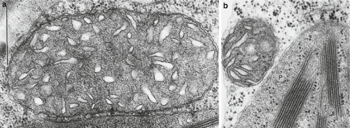 figure 280