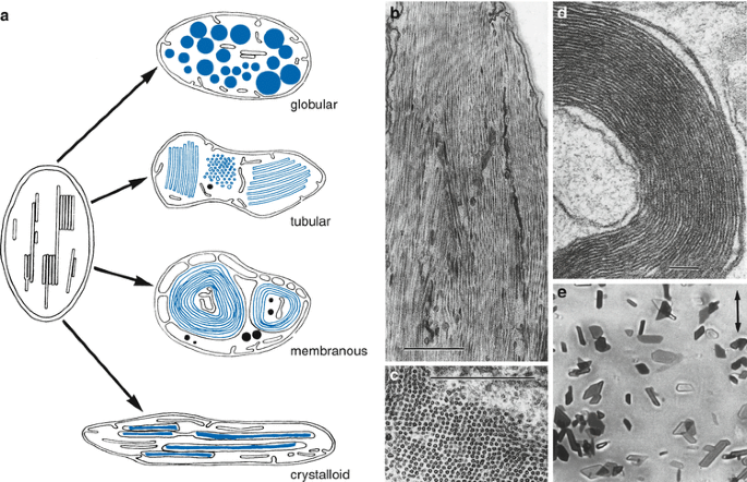 figure 293