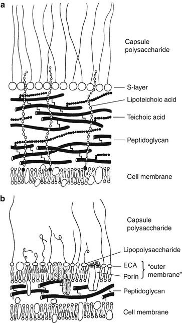 figure 299