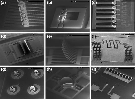 https://media.springernature.com/lw685/springer-static/image/chp%3A10.1007%2F978-3-642-15868-1_20/MediaObjects/210968_1_En_20_Fig17_HTML.jpg