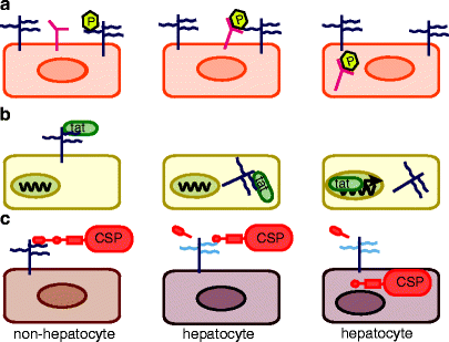 figure 1_2