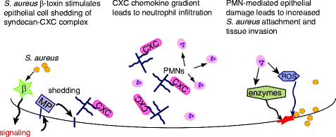 figure 2_2