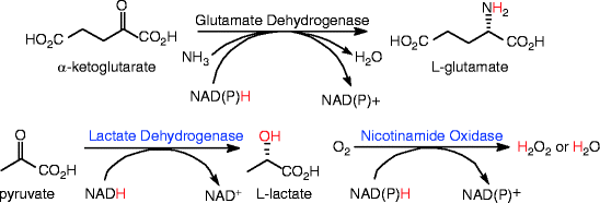 scheme 114