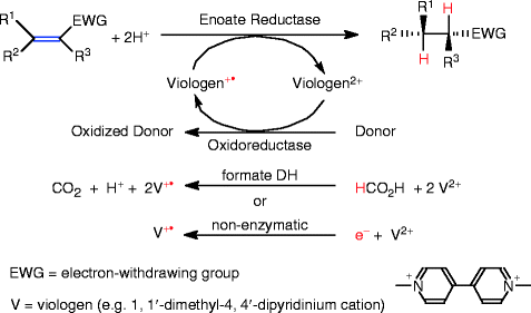 scheme 140