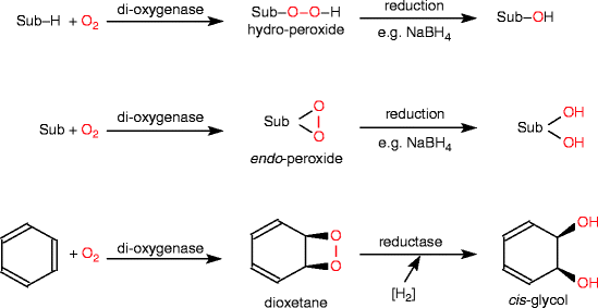 scheme 167