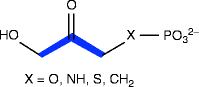 scheme 186