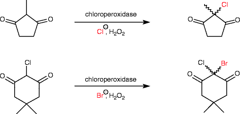 scheme 232