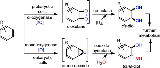 scheme 86