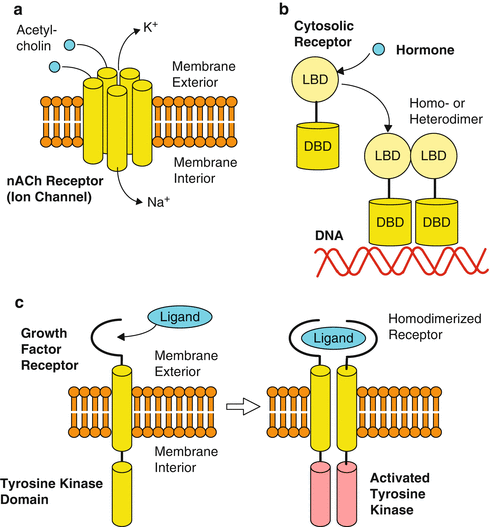 figure 00226