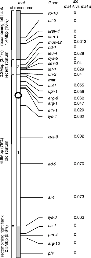 12 Evolution of Mating-Type Loci and Mating-Type Chromosomes in Model Species of Filamentous Ascomycetes