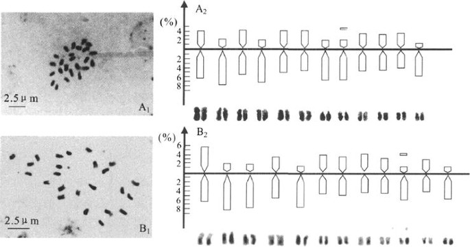 figure 4_6