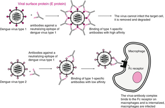 figure 001414