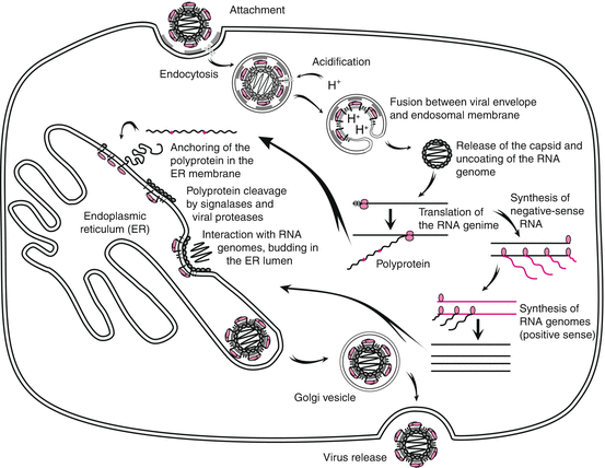 figure 001415