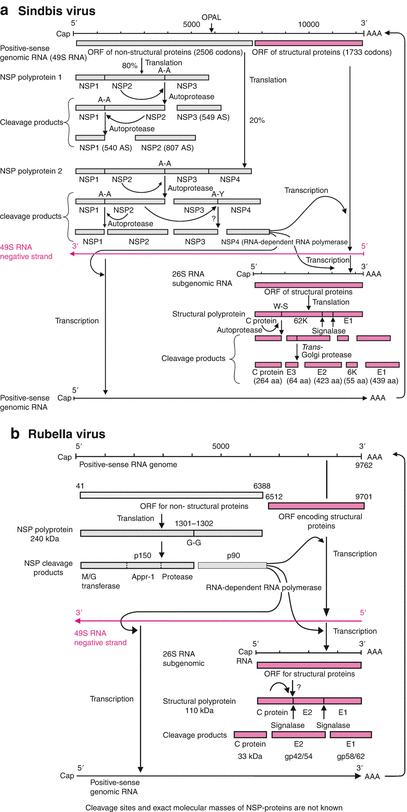 figure 001418