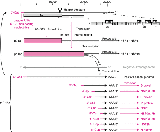 figure 001423