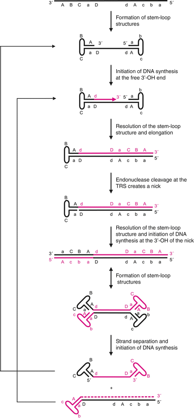 figure 00204