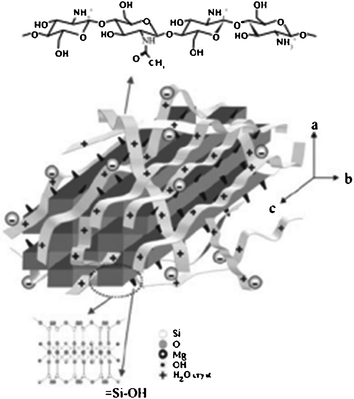 figure 24