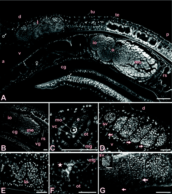 figure 1_10