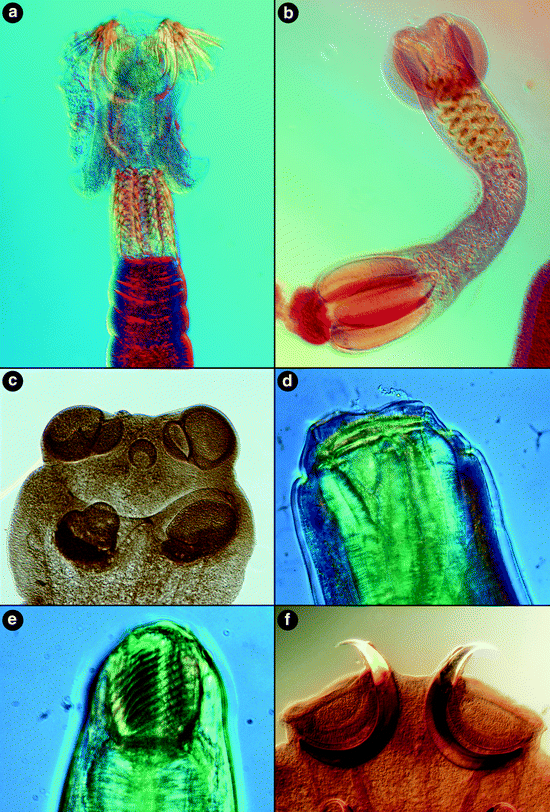 figure 2_12