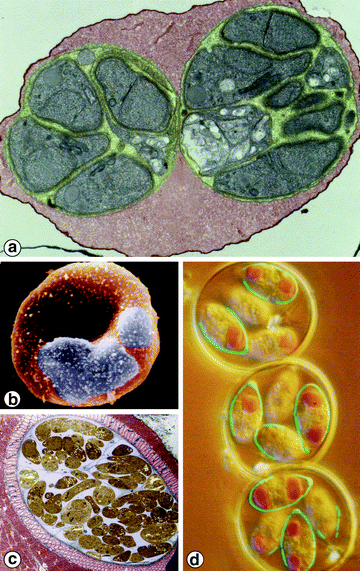 figure 3_3