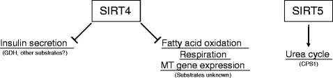 figure 2_8