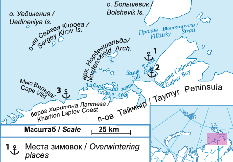 Где затонул челюскин на карте. Где затонул челюскин на карте. Путь парохода челюскин. Спасение челюскинцев карта. Экспедиция челюскина на карте.