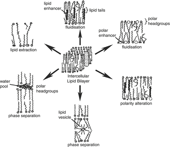 figure 01602