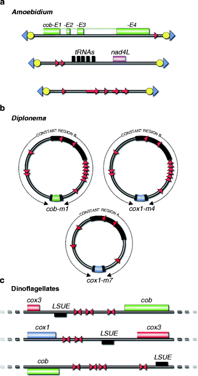 figure 6_3