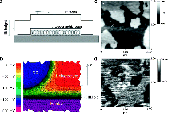 figure 24_12