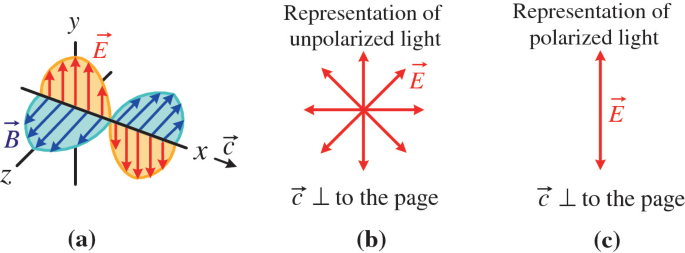 Interference, Diffraction and Polarization of Light | SpringerLink