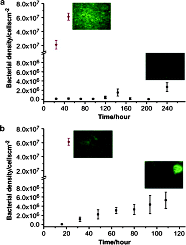 figure 23_1