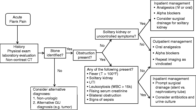 Algorithm for the management of acute flank pain.