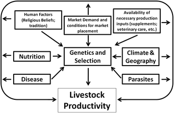 Factors Influencing Livestock Productivity | SpringerLink