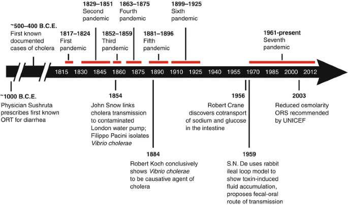 Five Basic Cholera Prevention Steps, Cholera