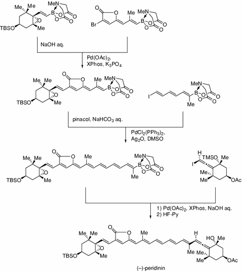 scheme 30