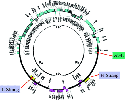 figure 18